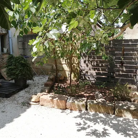 Tatil Evi Au Sein D'un Mas En Camargue